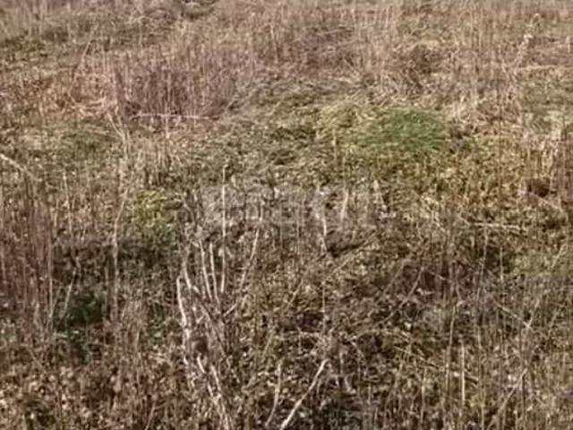 продажа загородная станица Дондуковская улица Гагарина