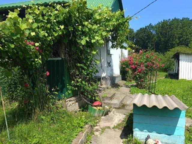 продажа загородная станица Черниговская улица Буденного