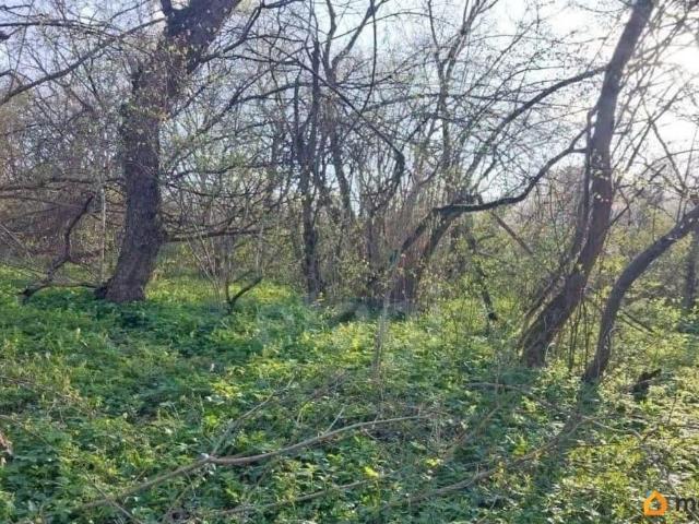 продажа загородная станица Кужорская улица Островского