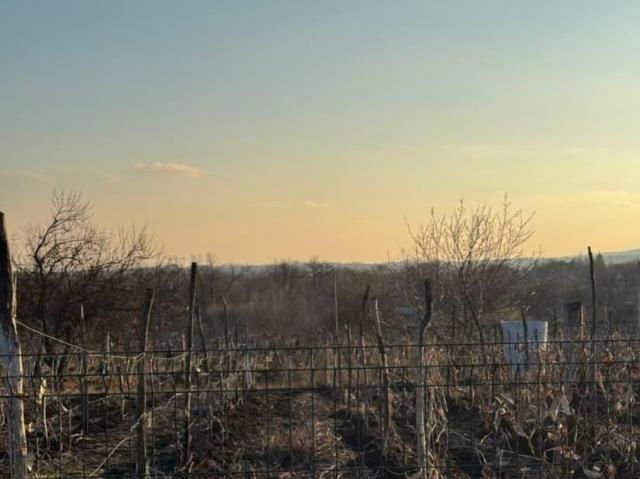 продажа загородная станица Мелиховская Северная улица