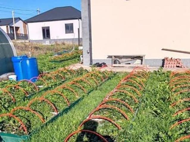 продажа загородная станица Натухаевская улица Старшего матроса Сергея Федченко, 36