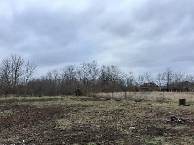 продажа загородная станица Новомышастовская улица Рогачева