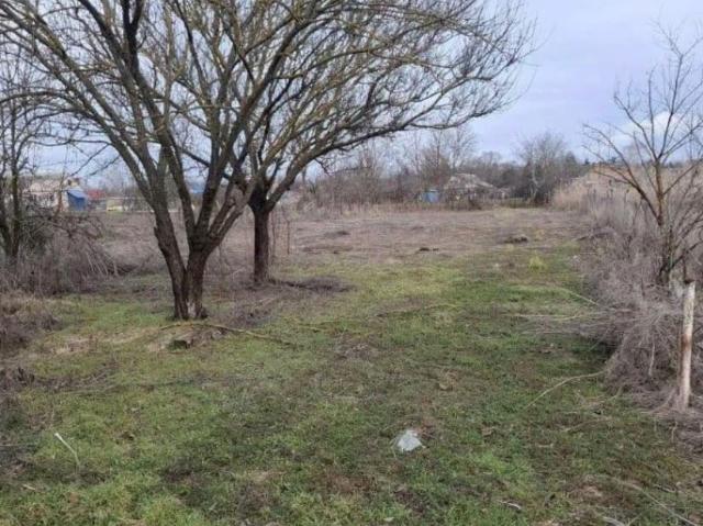 продажа загородная станица Новоплатнировская улица Жлобы, 105