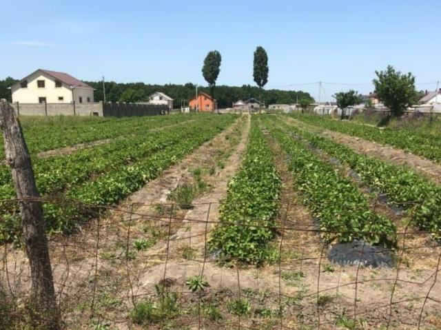 продажа загородная станица Пшехская Молодежная улица