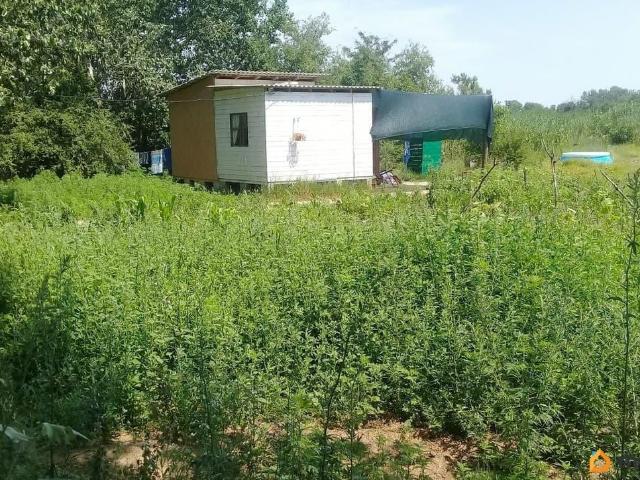 продажа загородная станица Петровская переулок 1 й Песчаный, 3А