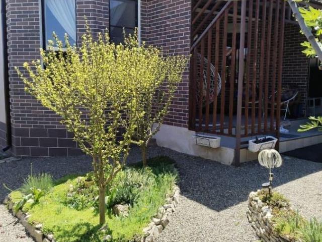 продажа загородная станица Раевская улица Сосновая, 31А