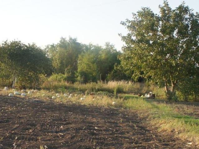 продажа загородная станица Староминская улица Петровская, 149
