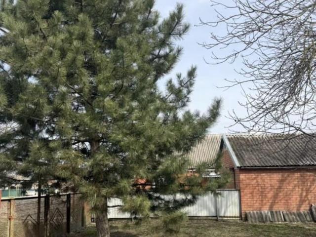 продажа загородная станица Староминская улица Трудовая, 37