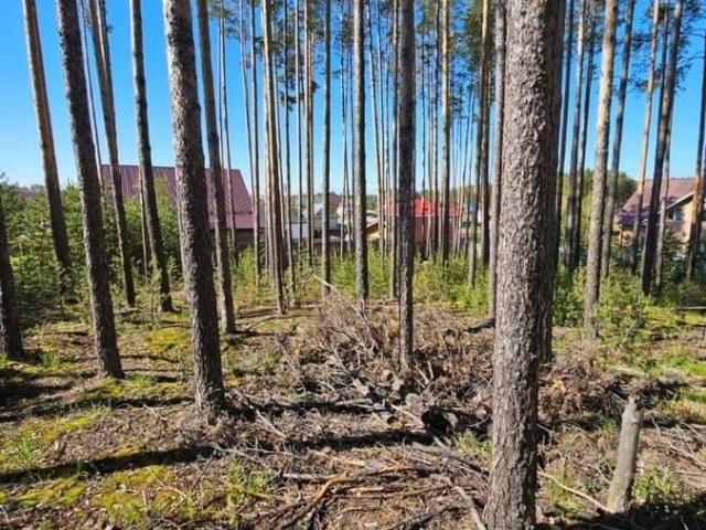 продажа загородная Сысерть Рябиновая улица, 45