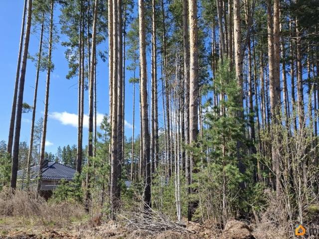 продажа загородная Сысерть улица Альберта Подкорытова, 19