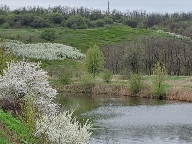 продажа загородная поселок Веселый улица Братская, 5