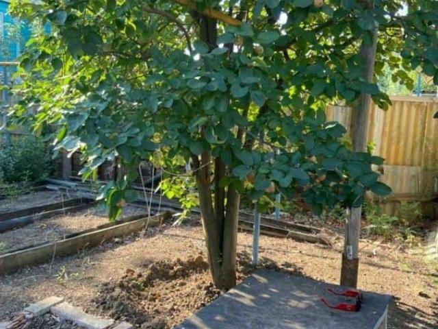 продажа загородная поселок Винный Береговая улица, 8