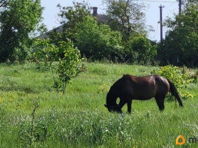 продажа загородная поселок Волна Революции улица Морская
