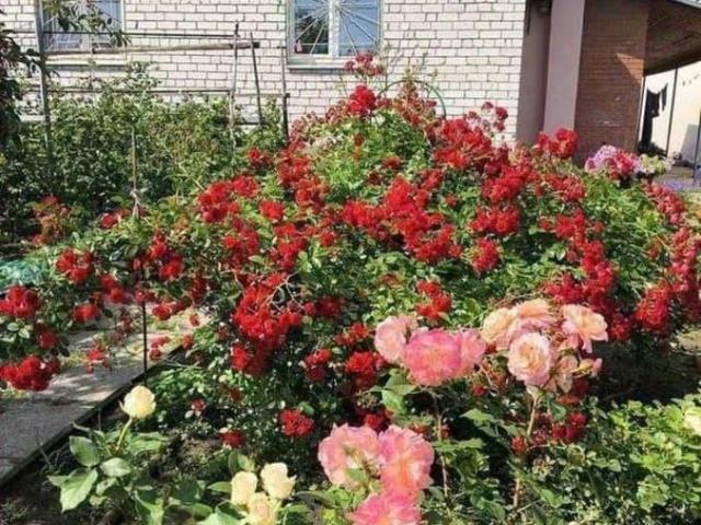 продажа загородная поселок Власть Труда улица Новая
