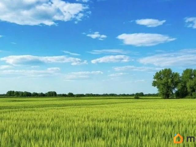 продажа загородная поселок Задонский улица Северная