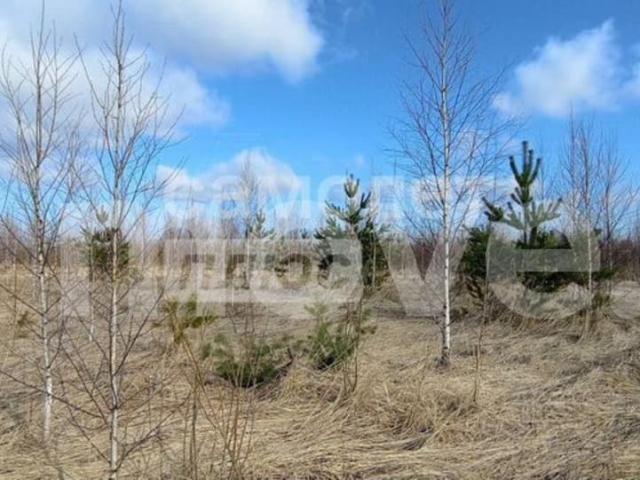 продажа загородная поселок Знаменский ул. Новая ул