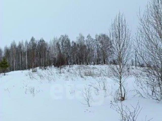 продажа загородная поселок Алферово улица С.И. Дворникова, 15