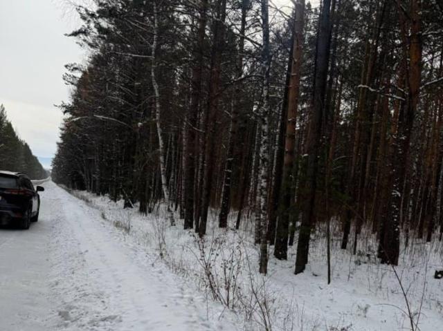 продажа загородная поселок Аршан Трактовая улица