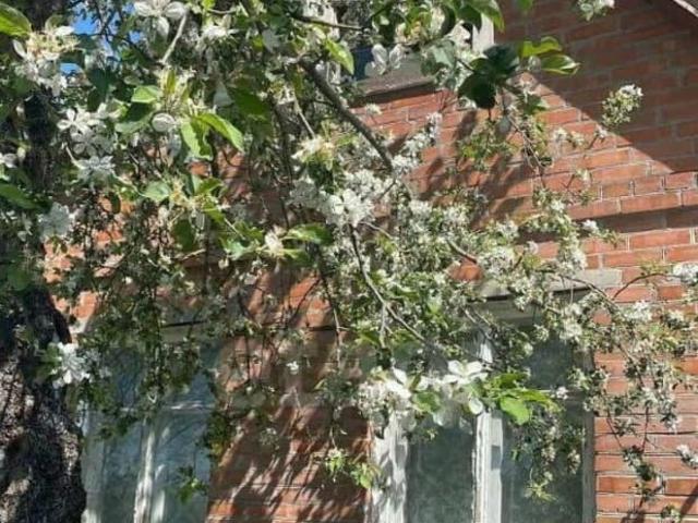 продажа загородная поселок Дачный улица Центральная