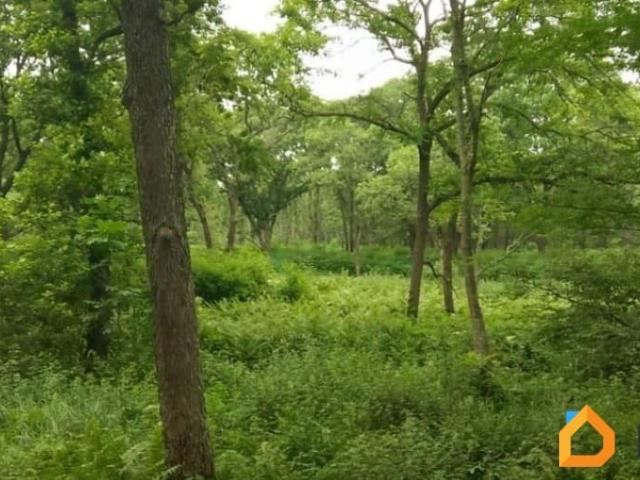 продажа загородная поселок Девятый Вал Зеленая улица, 5