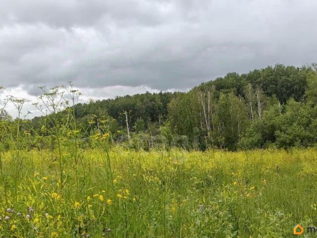 продажа загородная поселок Элита улица Видная