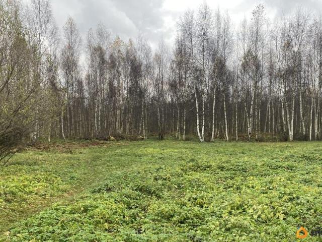 продажа загородная поселок городского типа Гусевский улица Восточная
