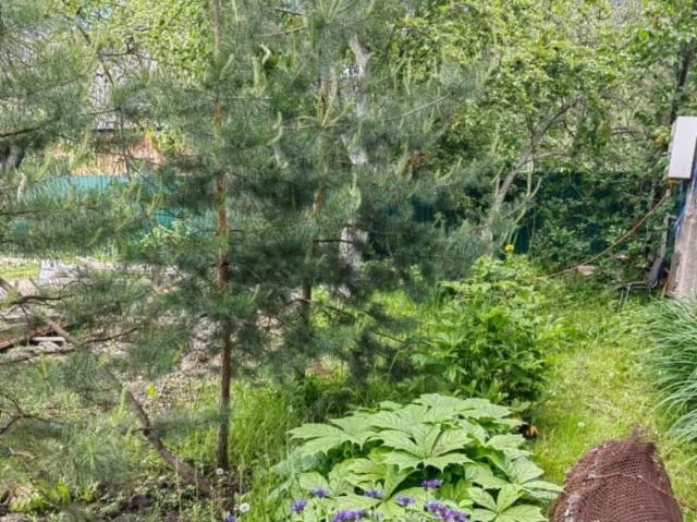 продажа загородная поселок городского типа Ильинский улица Наты Бабушкиной