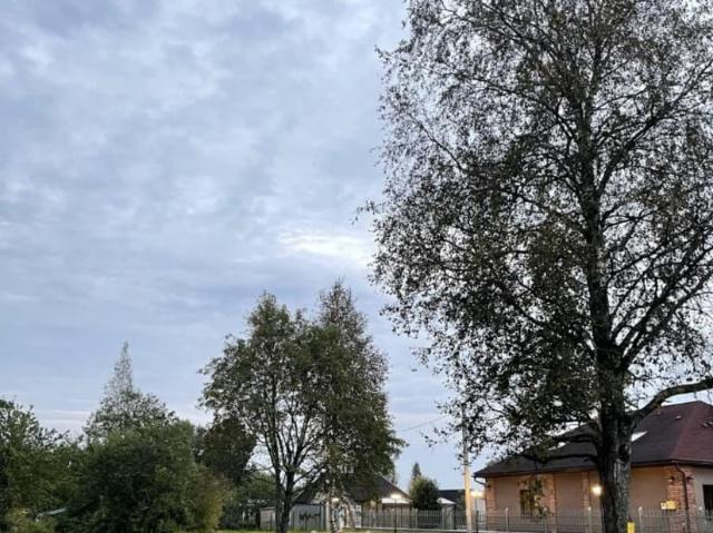 продажа загородная поселок городского типа Назия улица Седова, 10/33