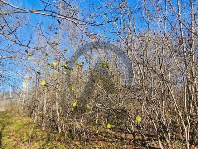 продажа загородная поселок городского типа Нефтегорск Горная улица