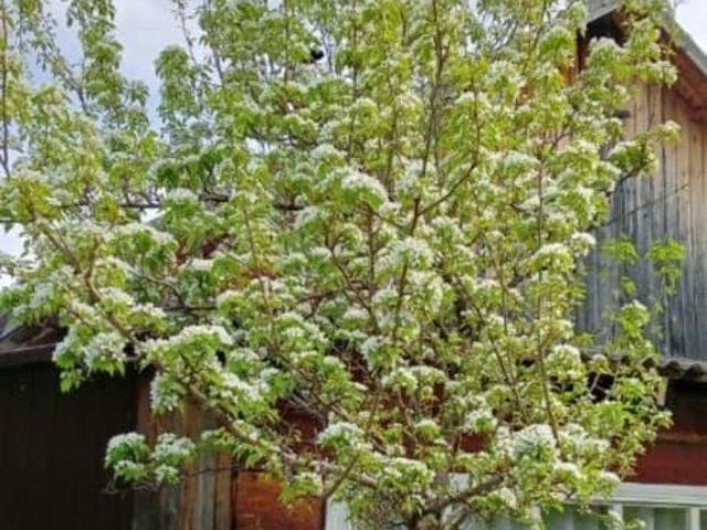 продажа загородная поселок городского типа Нижнеангарск Изумрудная улица