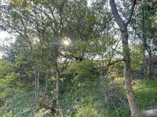 продажа загородная поселок городского типа Никита улица Имени Героя Советского Союза Е.С. Птухина, 7Б