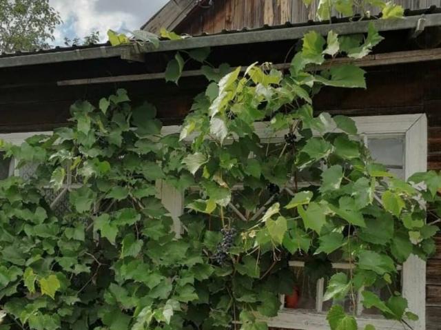 продажа загородная поселок городского типа Волжский переулок Озерный, 14
