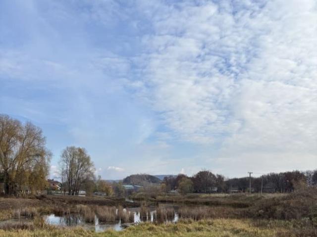 продажа загородная поселок городского типа Волжский улица Подсухина, 5