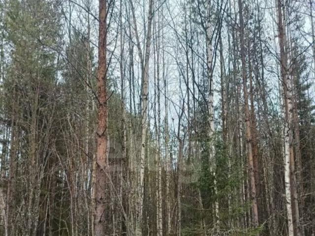 продажа загородная поселок городского типа Верхняя Максаковка улица 1 я Белоборская