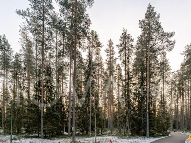 продажа загородная поселок Ильичево ул. аллея Линтульская