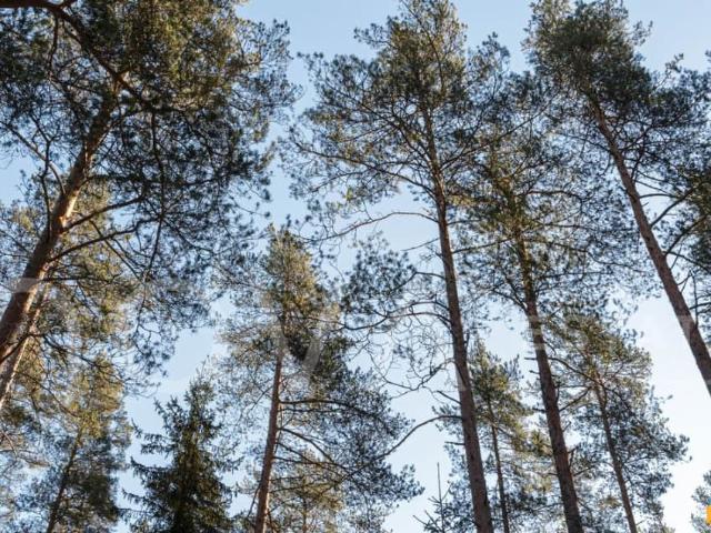 продажа загородная поселок Ильичево ул. аллея Линтульская