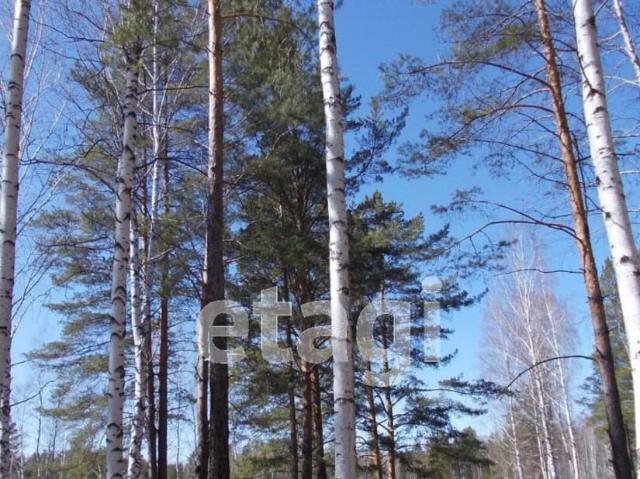 продажа загородная поселок Ива улица Центральная