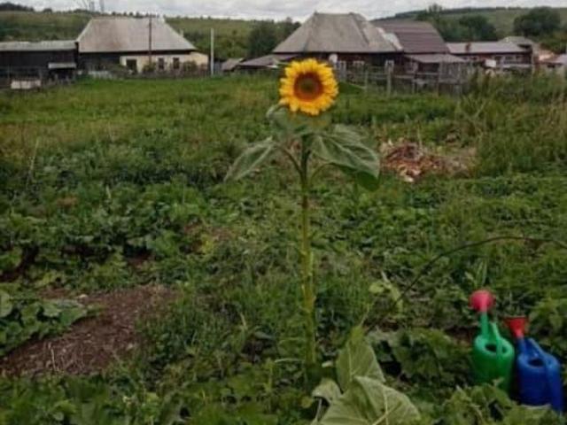 продажа загородная поселок Калачево улица Азарова, 39