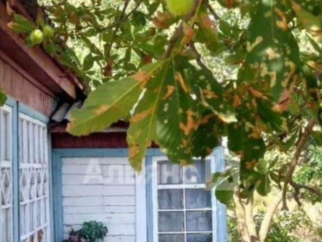 продажа загородная поселок Коксовый Рабочая улица