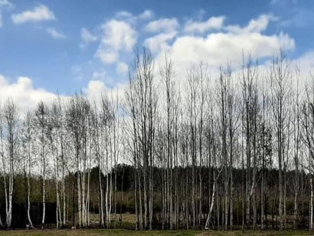 продажа загородная поселок Ключевск улица Новая, 4
