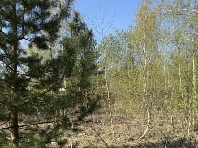 продажа загородная поселок Кратово улица Гвардейская