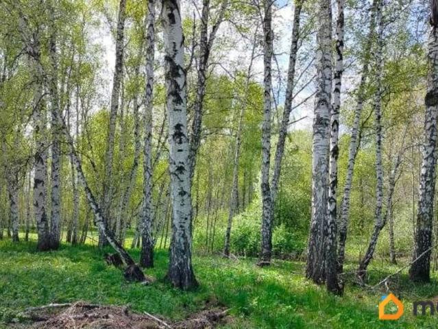 продажа загородная поселок Ленинский улица Зеленая