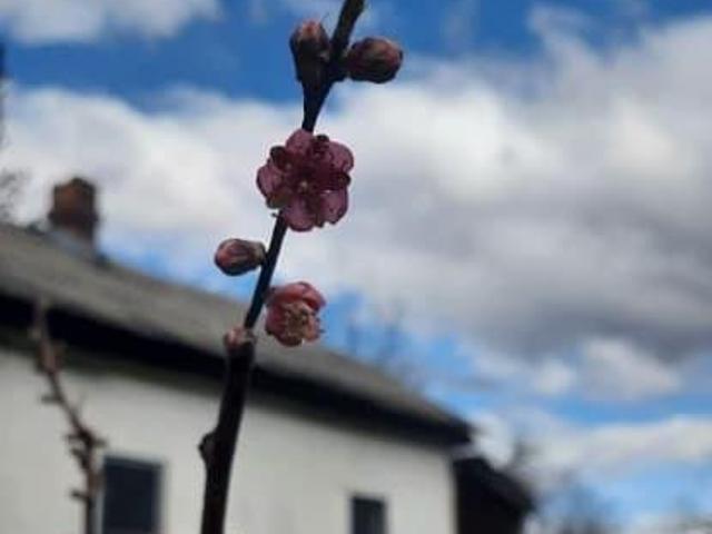 продажа загородная поселок Мезмай Лесная улица, 27
