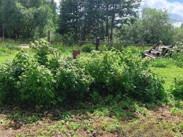 продажа загородная поселок Мирный улица Гагарина, 17