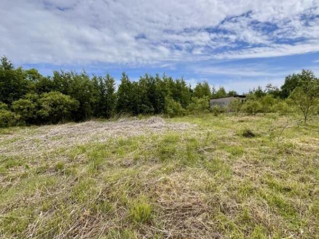 продажа загородная поселок Николаевка Новая улица, 6