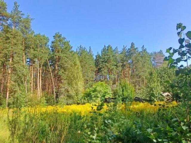 продажа загородная поселок Пятилетка улица Сосновый Бор