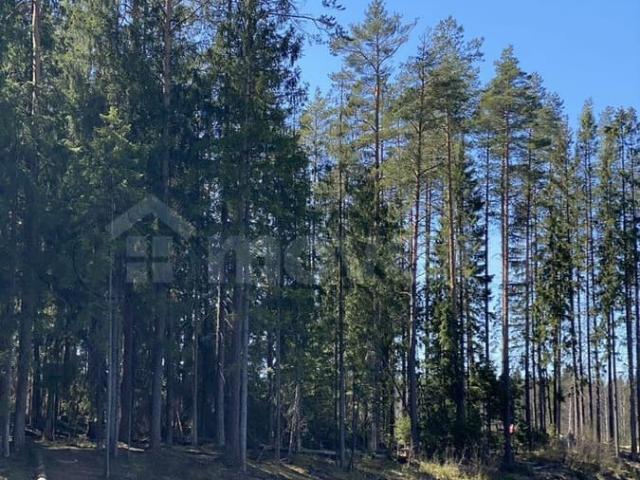 продажа загородная поселок Первомайское ул. домашний пр, 7с1