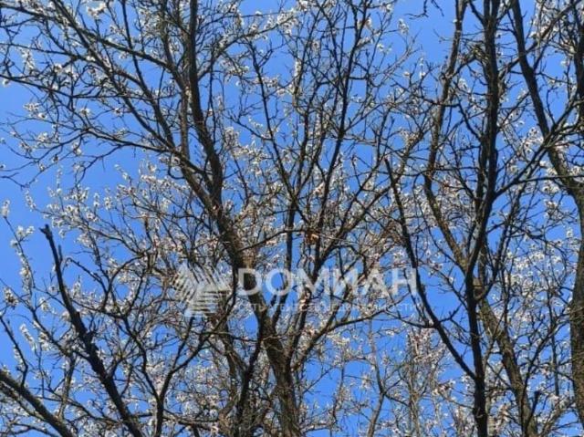 продажа загородная поселок Персиановский улица Дальняя