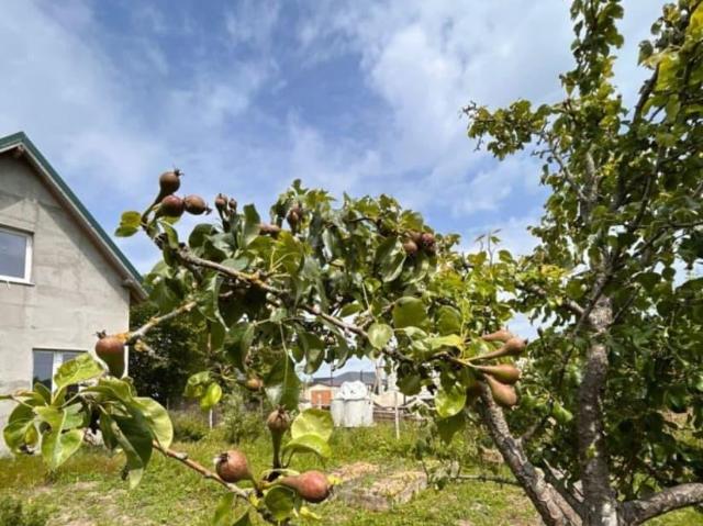 продажа загородная поселок Рощино улица Лазурная, 65