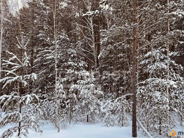 продажа загородная поселок Северка улица Новорешетская